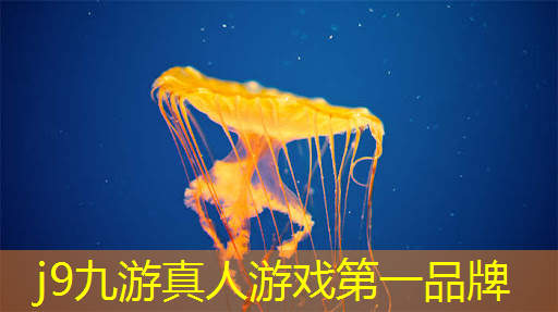 j9九游会真人第一品牌：手机版特别好玩的3d台球游戏