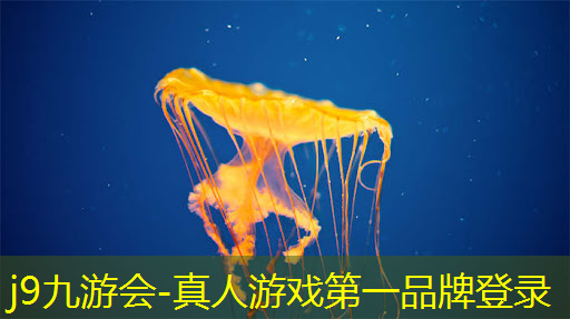 3d驾驶游戏公交车门怎么开