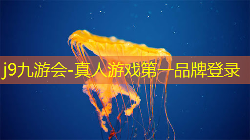 手机版特别好玩的3d台球游戏